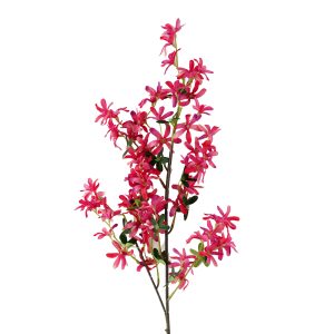 Lilac Sering 100cm