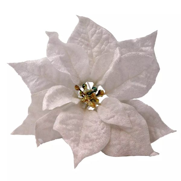 Poinsettia flowers - Image 3